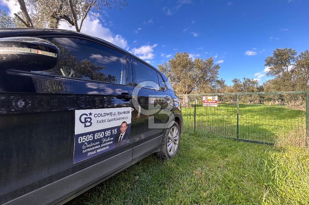 AYVALIK SATILIK ZEYTİNLİK