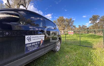 AYVALIK SATILIK ZEYTİNLİK