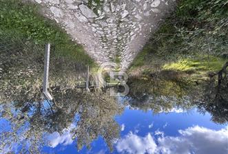 AYVALIK SATILIK ZEYTİNLİK - 1 - 317210