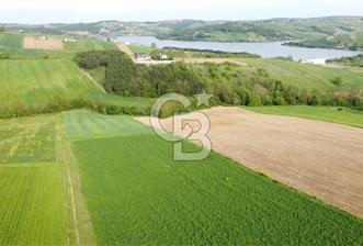 DERİNCE TAHTALI GÖLE YAKIN YOLA CEPHE SATILIK ARSA - 5 - 317178