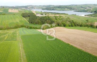 DERİNCE TAHTALI GÖLE YAKIN YOLA CEPHE SATILIK ARSA