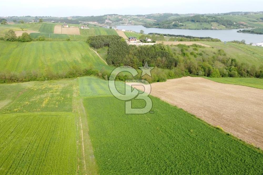DERİNCE TAHTALI GÖLE YAKIN YOLA CEPHE SATILIK ARSA