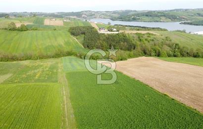 DERİNCE TAHTALI GÖLE YAKIN YOLA CEPHE SATILIK ARSA