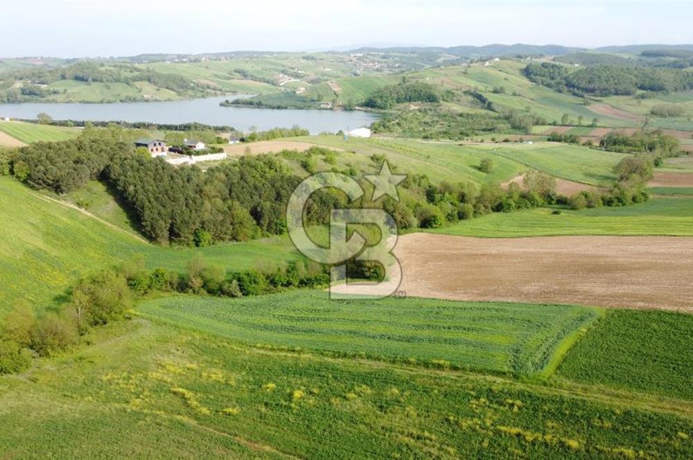 DERİNCE TAHTALI GÖLE YAKIN YOLA CEPHE SATILIK ARSA