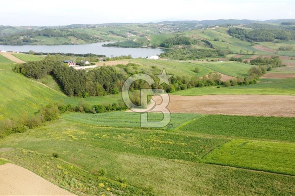 DERİNCE TAHTALI GÖLE YAKIN YOLA CEPHE SATILIK ARSA