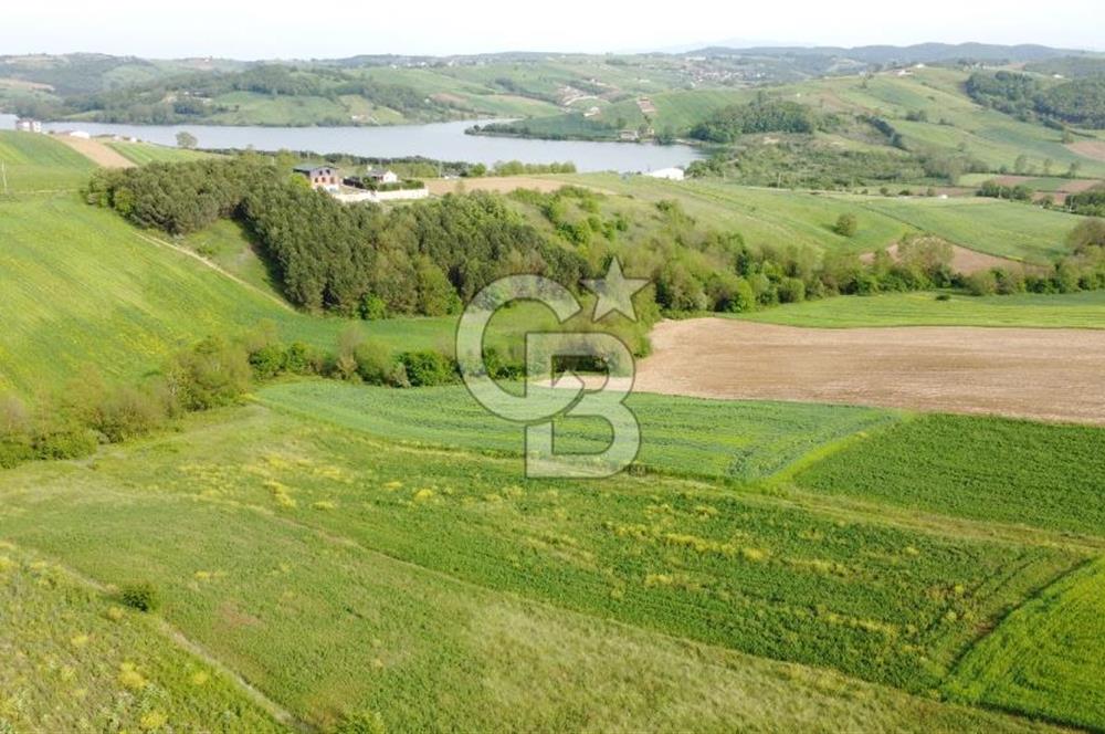 DERİNCE TAHTALI GÖLE YAKIN YOLA CEPHE SATILIK ARSA