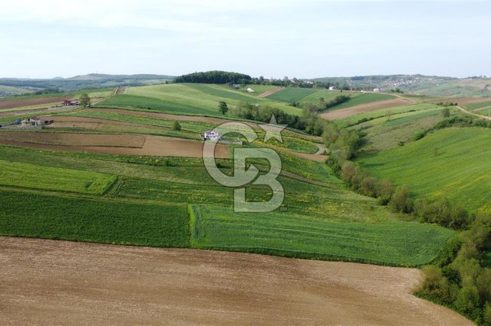 DERİNCE TAHTALI GÖLE YAKIN YOLA CEPHE SATILIK ARSA