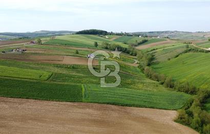 DERİNCE TAHTALI GÖLE YAKIN YOLA CEPHE SATILIK ARSA