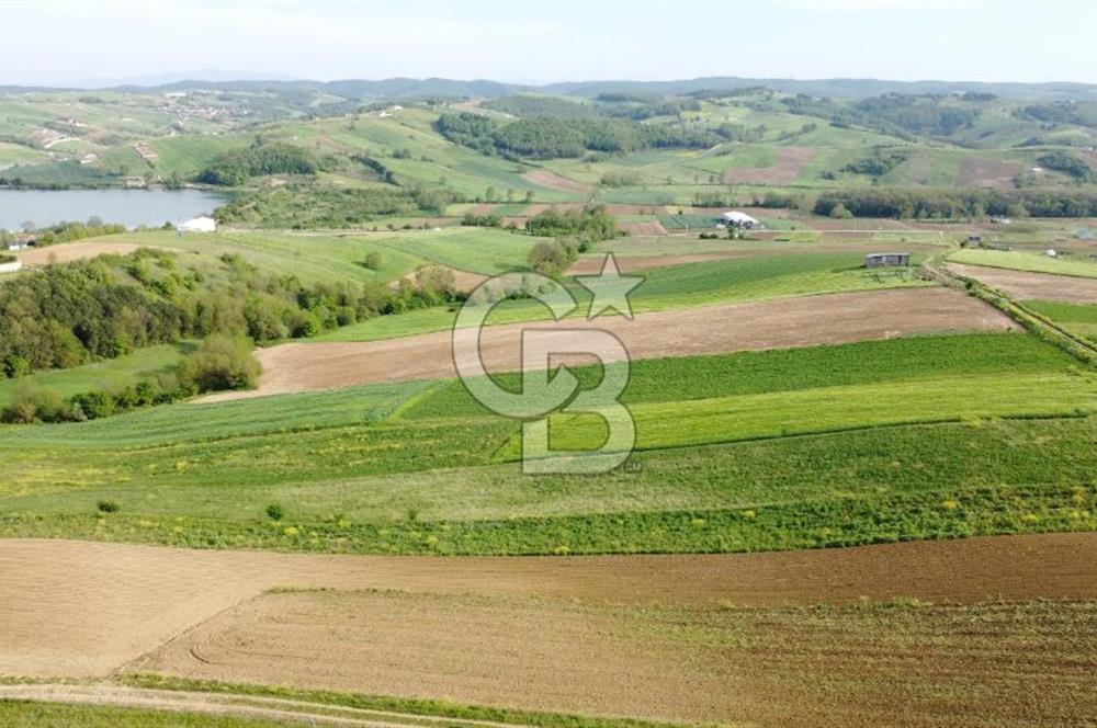 DERİNCE TAHTALI GÖLE YAKIN YOLA CEPHE SATILIK ARSA