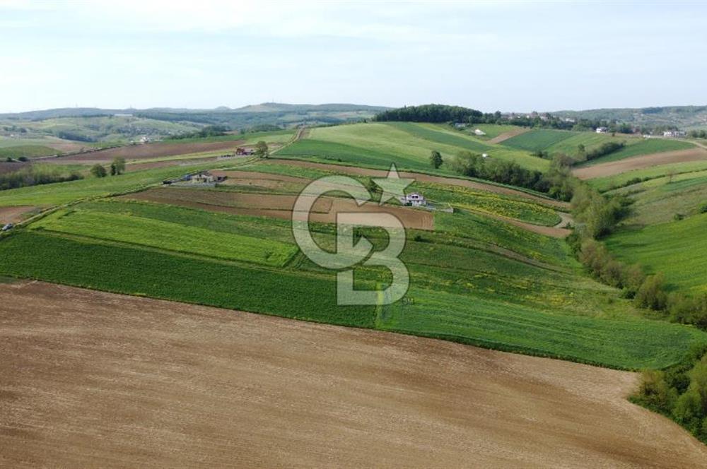 DERİNCE TAHTALI GÖLE YAKIN YOLA CEPHE SATILIK ARSA