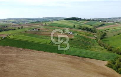 DERİNCE TAHTALI GÖLE YAKIN YOLA CEPHE SATILIK ARSA