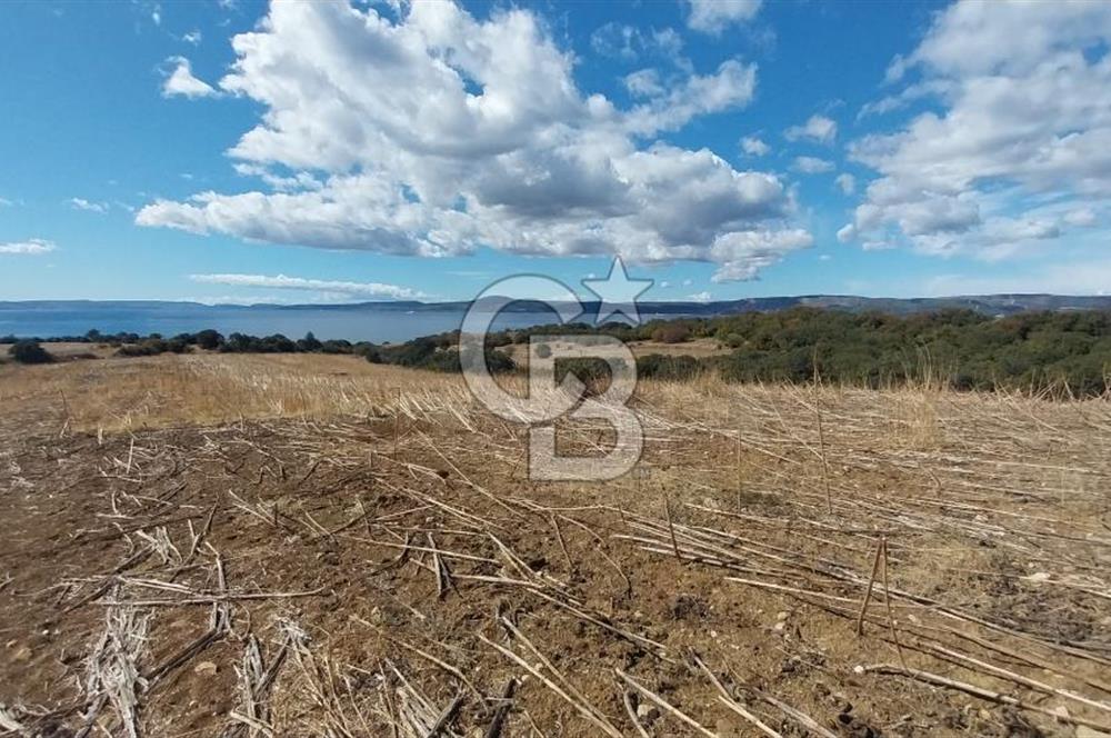 Çanakkale Kangırlı Sahil Deniz Manzaralı 21 Dönüm