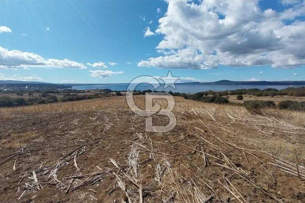 Çanakkale Kangırlı Sahil Deniz Manzaralı 21 Dönüm