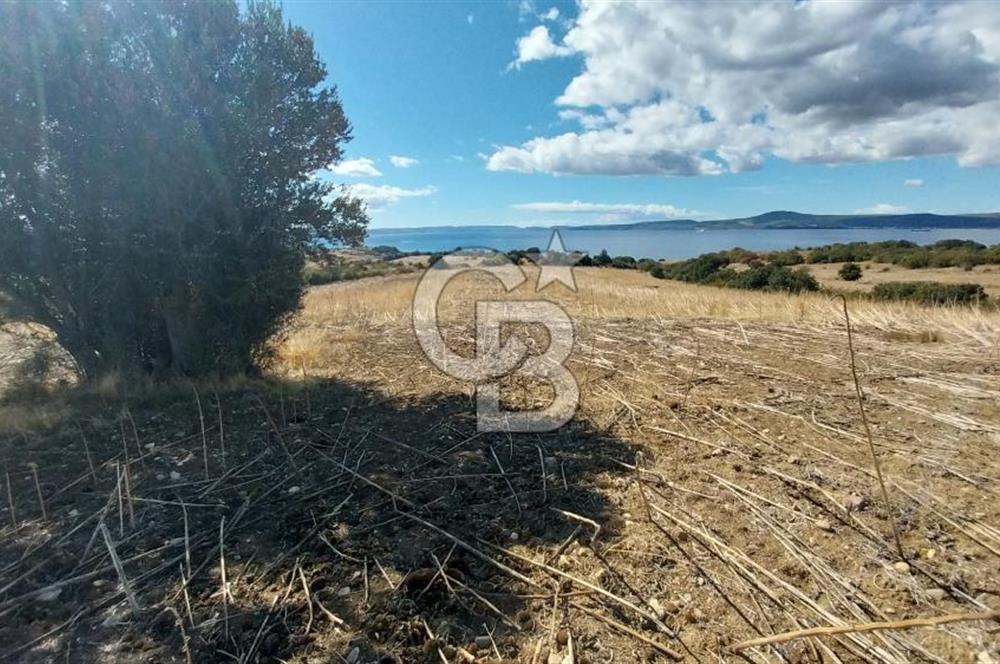 Çanakkale Kangırlı Sahil Deniz Manzaralı 21 Dönüm