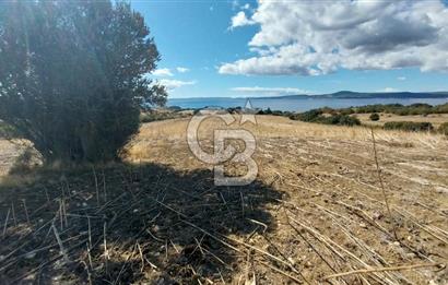 Çanakkale Kangırlı Sahil Deniz Manzaralı 21 Dönüm