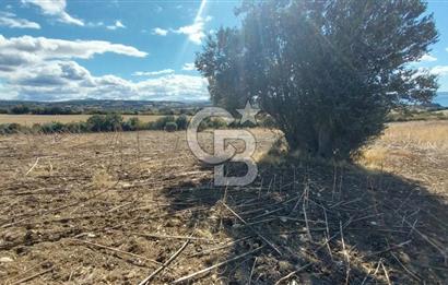 Çanakkale Kangırlı Sahil Deniz Manzaralı 21 Dönüm