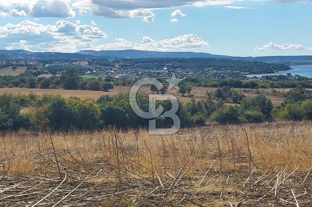 Çanakkale Kangırlı Sahil Deniz Manzaralı 21 Dönüm