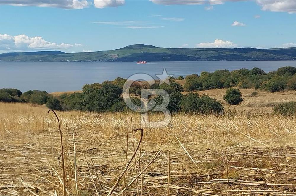 Çanakkale Kangırlı Sahil Deniz Manzaralı 21 Dönüm