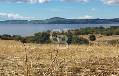 Çanakkale Kangırlı Sahil Deniz Manzaralı 21 Dönüm