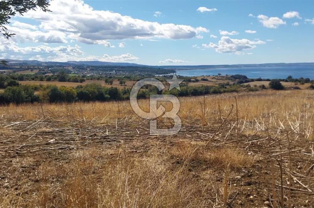 Çanakkale Kangırlı Sahil Deniz Manzaralı 21 Dönüm