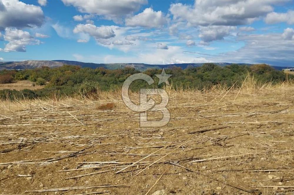 Çanakkale Kangırlı Sahil Deniz Manzaralı 21 Dönüm