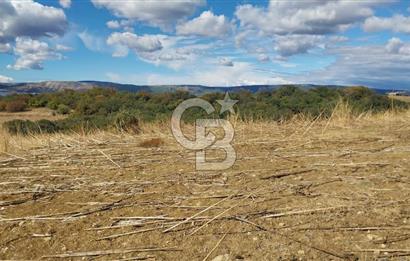 Çanakkale Kangırlı Sahil Deniz Manzaralı 21 Dönüm
