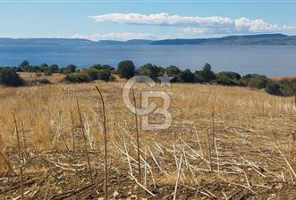 Çanakkale Kangırlı Sahil Deniz Manzaralı 21 Dönüm - 4 - 317194
