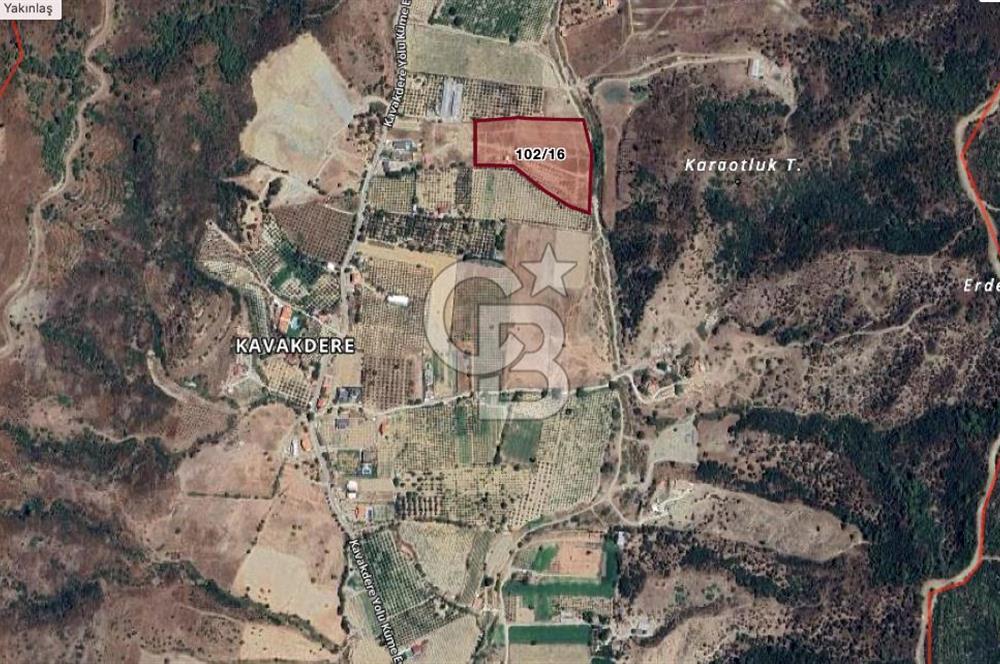 Kavakdere'de 243m2 Resmi Tapulu Bahçe-Elektrik & Su Hazır