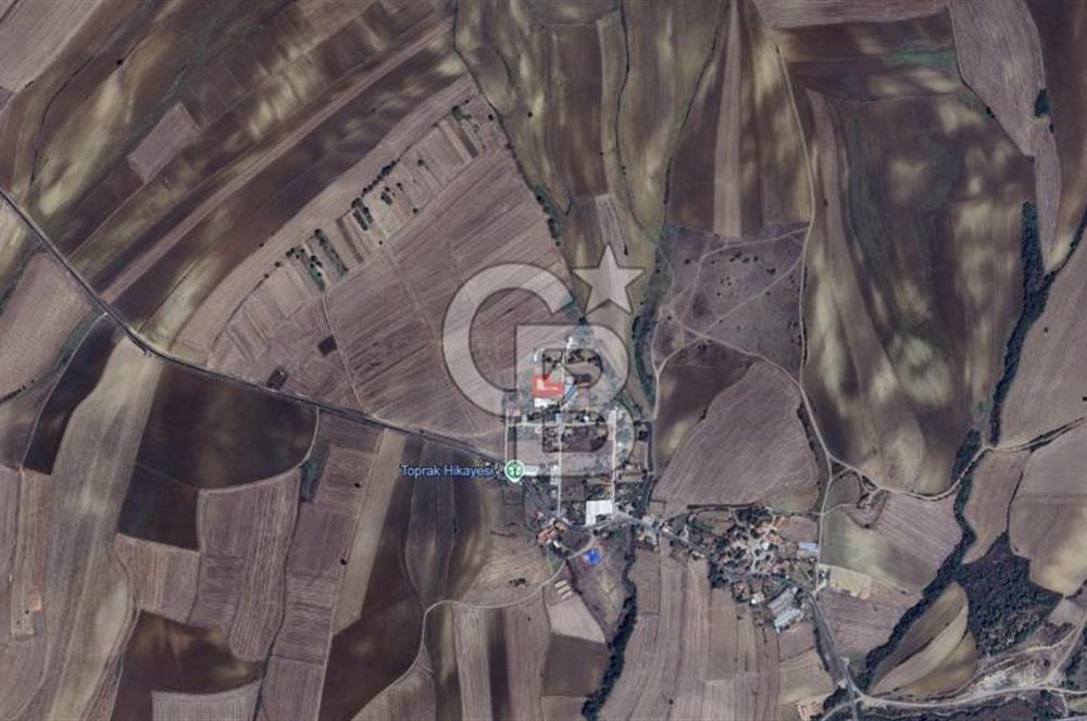 DOĞAL YAŞAMI ÖZLEYENLERE TEKİRDAĞ SÜLEYMANPAŞA MAHRAMLI'DA ..