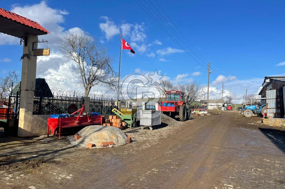 DOĞAL YAŞAMI ÖZLEYENLERE TEKİRDAĞ SÜLEYMANPAŞA MAHRAMLI'DA ..