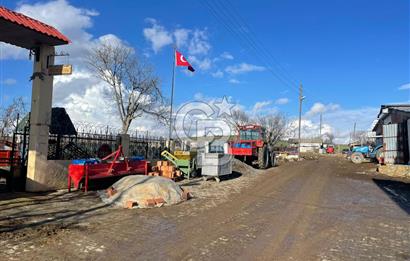 DOĞAL YAŞAMI ÖZLEYENLERE TEKİRDAĞ SÜLEYMANPAŞA MAHRAMLI'DA ..
