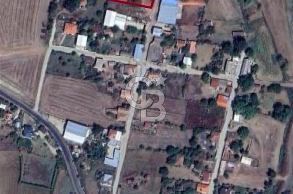 DOĞAL YAŞAMI ÖZLEYENLERE TEKİRDAĞ SÜLEYMANPAŞA MAHRAMLI'DA ..