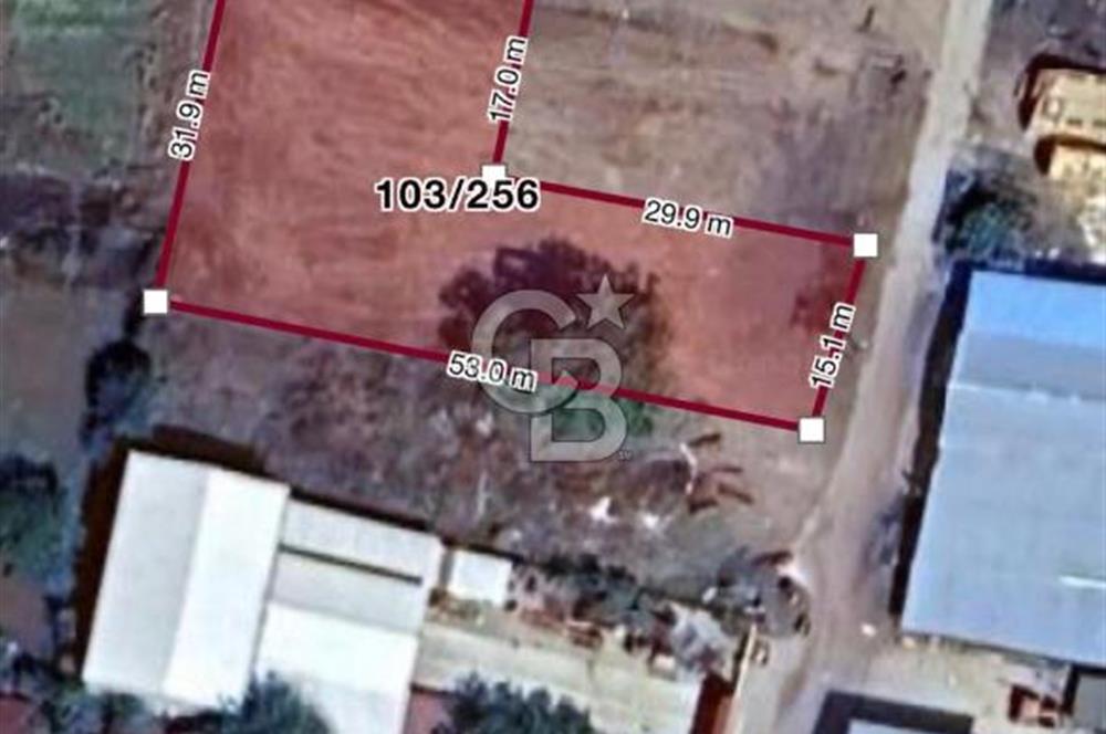 DOĞAL YAŞAMI ÖZLEYENLERE TEKİRDAĞ SÜLEYMANPAŞA MAHRAMLI'DA ..