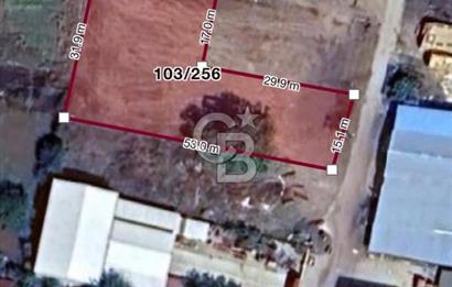 DOĞAL YAŞAMI ÖZLEYENLERE TEKİRDAĞ SÜLEYMANPAŞA MAHRAMLI'DA ..