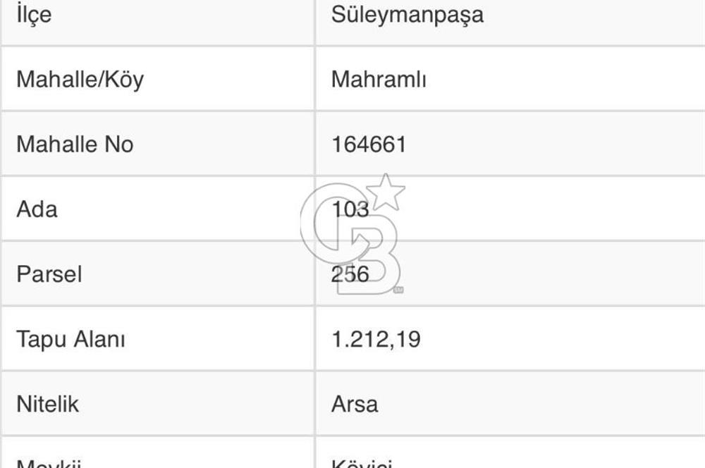 DOĞAL YAŞAMI ÖZLEYENLERE TEKİRDAĞ SÜLEYMANPAŞA MAHRAMLI'DA ..