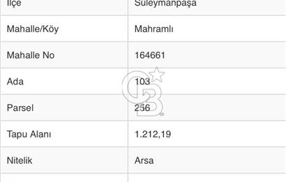 DOĞAL YAŞAMI ÖZLEYENLERE TEKİRDAĞ SÜLEYMANPAŞA MAHRAMLI'DA ..
