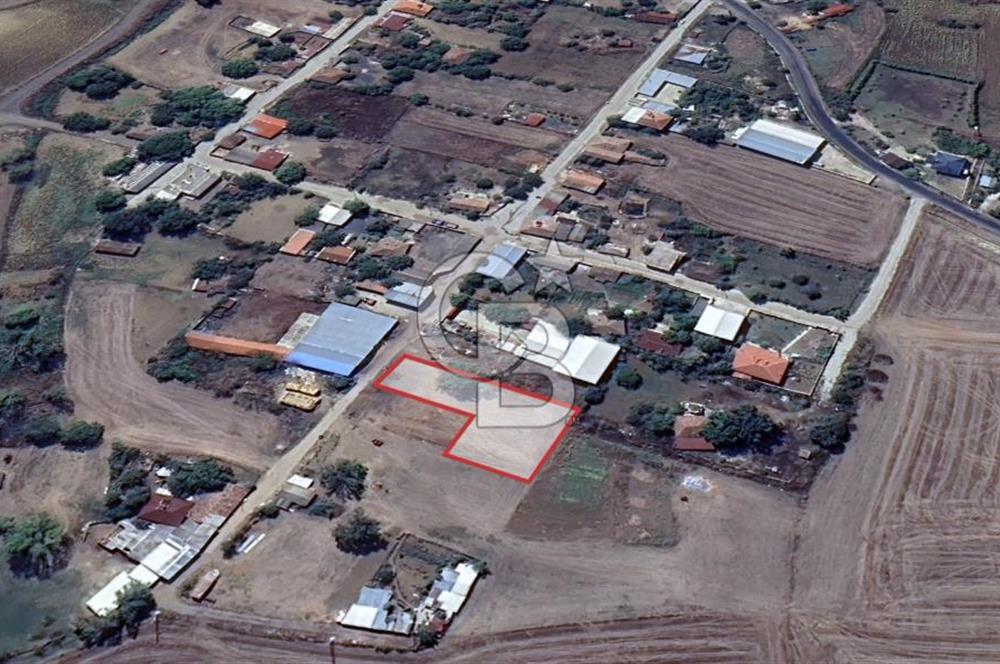 DOĞAL YAŞAMI ÖZLEYENLERE TEKİRDAĞ SÜLEYMANPAŞA MAHRAMLI'DA ..