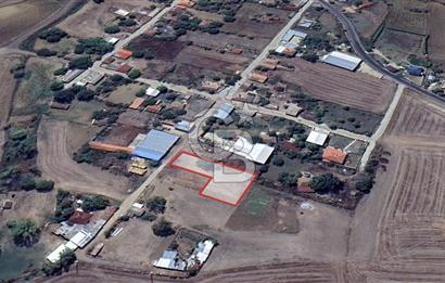 DOĞAL YAŞAMI ÖZLEYENLERE TEKİRDAĞ SÜLEYMANPAŞA MAHRAMLI'DA ..