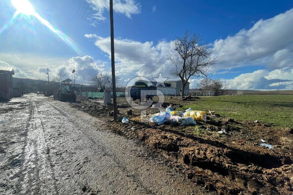 DOĞAL YAŞAMI ÖZLEYENLERE TEKİRDAĞ SÜLEYMANPAŞA MAHRAMLI'DA ..
