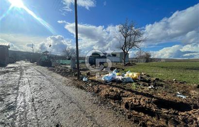 DOĞAL YAŞAMI ÖZLEYENLERE TEKİRDAĞ SÜLEYMANPAŞA MAHRAMLI'DA ..