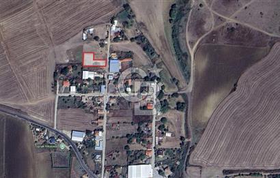 DOĞAL YAŞAMI ÖZLEYENLERE TEKİRDAĞ SÜLEYMANPAŞA MAHRAMLI'DA ..