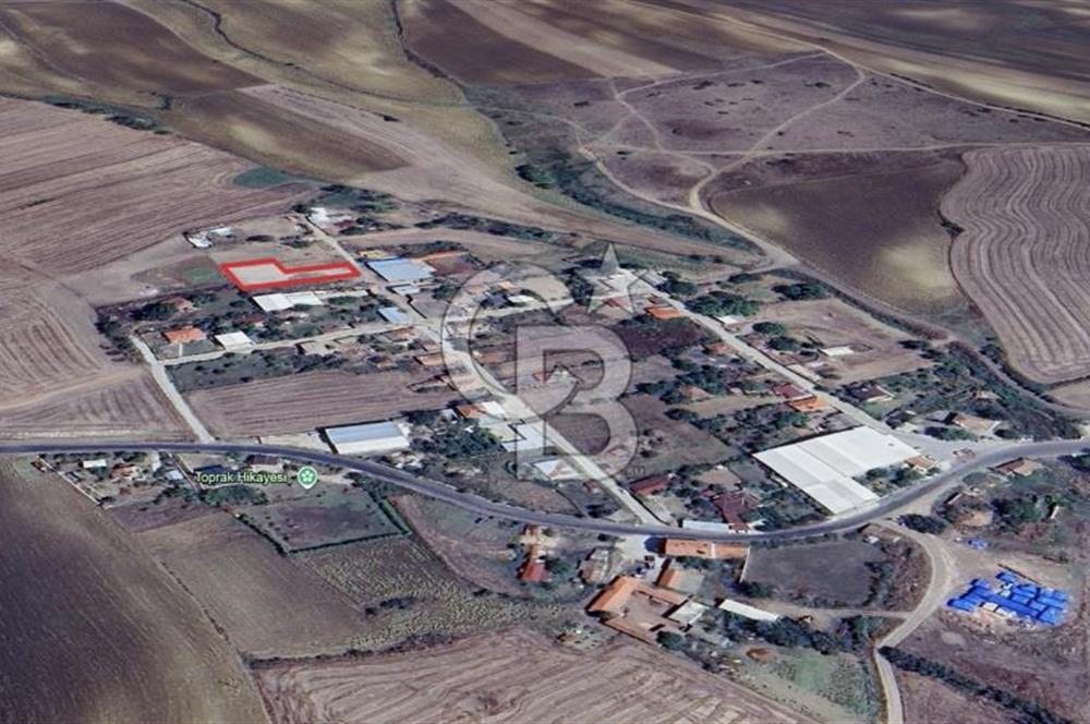 DOĞAL YAŞAMI ÖZLEYENLERE TEKİRDAĞ SÜLEYMANPAŞA MAHRAMLI'DA ..