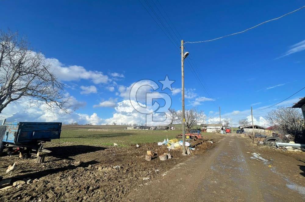 DOĞAL YAŞAMI ÖZLEYENLERE TEKİRDAĞ SÜLEYMANPAŞA MAHRAMLI'DA ..