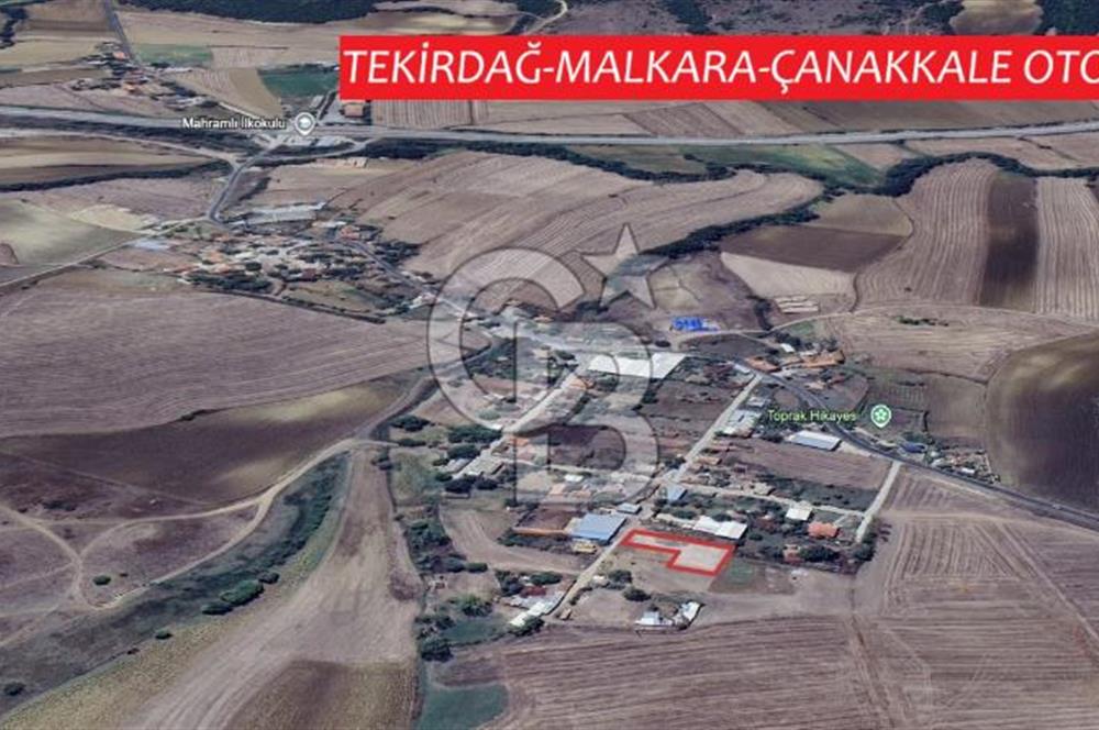 DOĞAL YAŞAMI ÖZLEYENLERE TEKİRDAĞ SÜLEYMANPAŞA MAHRAMLI'DA ..