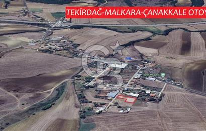 DOĞAL YAŞAMI ÖZLEYENLERE TEKİRDAĞ SÜLEYMANPAŞA MAHRAMLI'DA ..