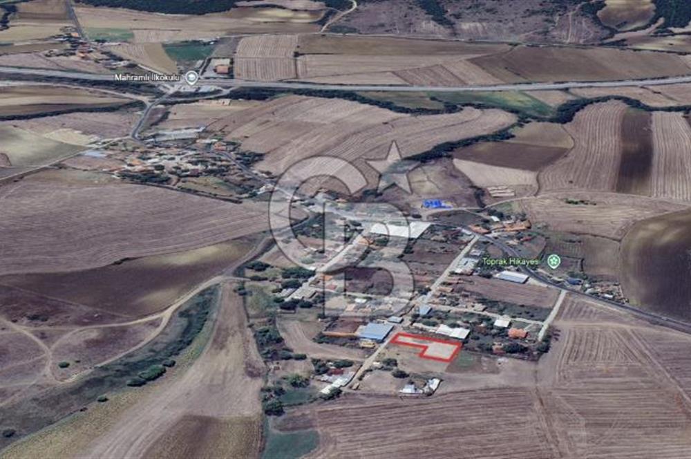 DOĞAL YAŞAMI ÖZLEYENLERE TEKİRDAĞ SÜLEYMANPAŞA MAHRAMLI'DA ..