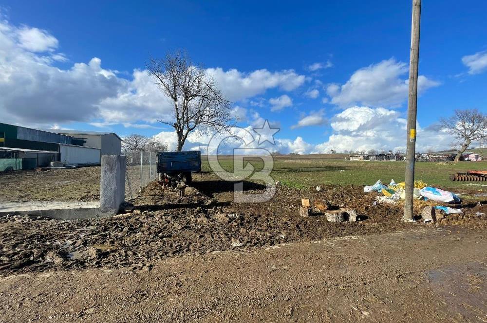 DOĞAL YAŞAMI ÖZLEYENLERE TEKİRDAĞ SÜLEYMANPAŞA MAHRAMLI'DA ..