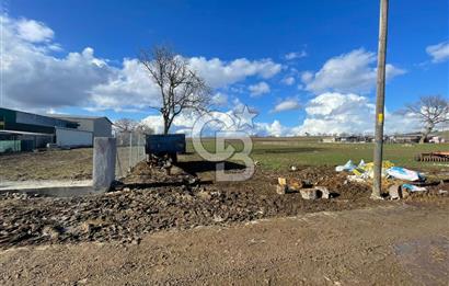 DOĞAL YAŞAMI ÖZLEYENLERE TEKİRDAĞ SÜLEYMANPAŞA MAHRAMLI'DA ..
