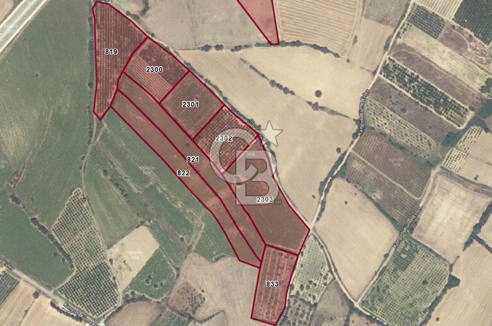 Çanakkale Kangırlı Deniz Manzaralı 12 Dönüm Tarla