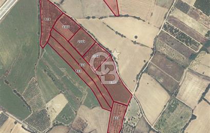 Çanakkale Kangırlı Deniz Manzaralı 12 Dönüm Tarla